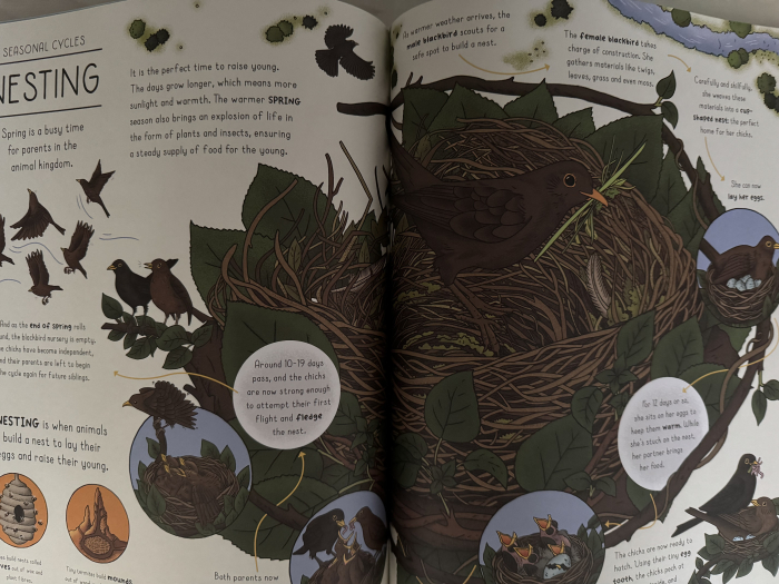Enciclopedie premium de stiinta Nature Explained de Helen Brown si Claire Scully Libraria Exploratorilor [6]