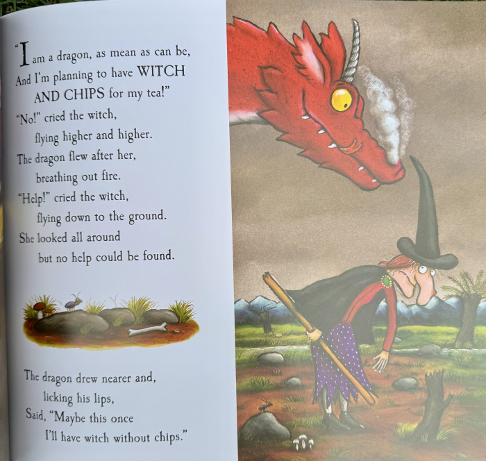 Room on the Broom – Paperback 25th Anniversary Edition | Librăria Exploratorilor [3]