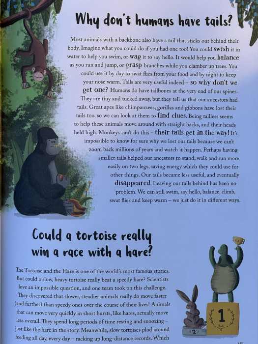 The Bedtime Book of Impossible Questions carte copii engleză Isabel Thomas copertă [4]