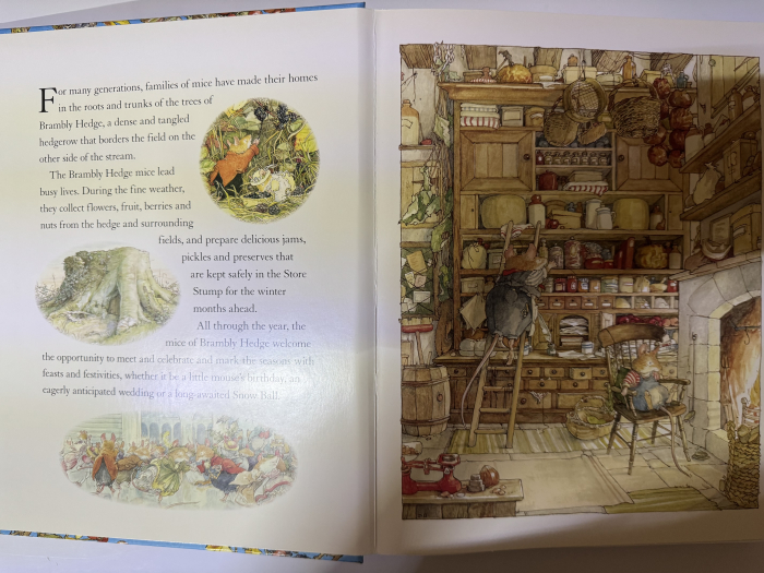 The Brambly Hedge Pop-Up Book carte copii engleză Jill Barklem copertă [2]