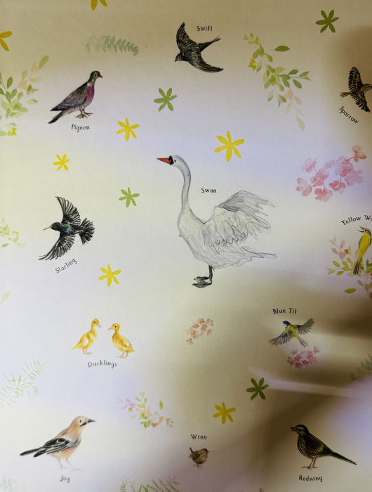 The Magic Feather – Carte ilustrată în limba engleză despre natură și magie | Julia Donaldson [6]