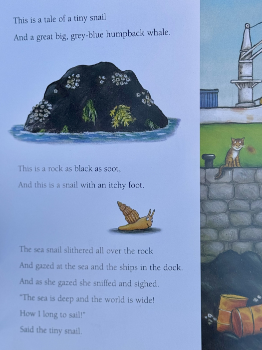 The Snail and the Whale carte copii engleză Julia Donaldson copertă [2]