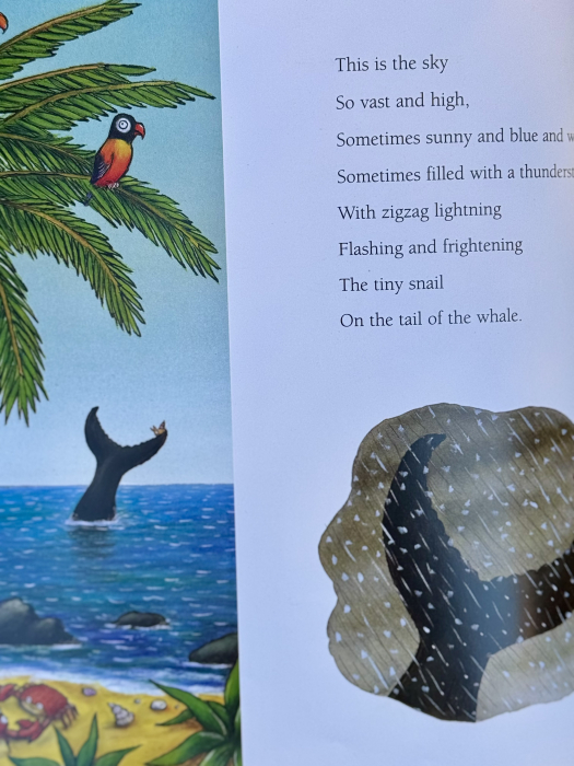 The Snail and the Whale carte copii engleză Julia Donaldson copertă [5]