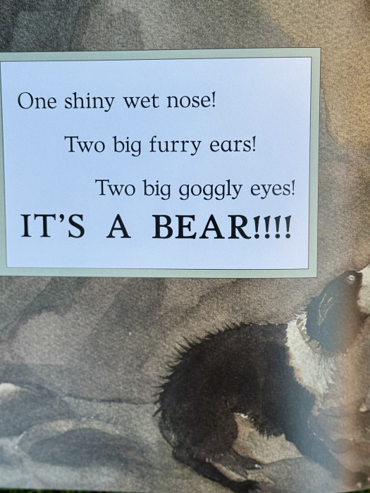 We're Going on a Bear Hunt Paperback [5]