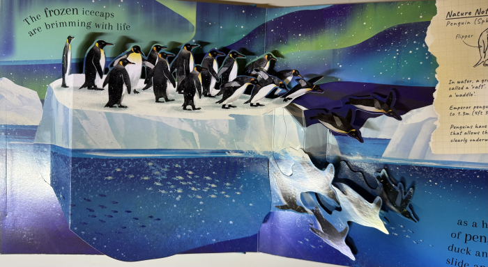 Carte interactiva 3D World of Birds de Patricia Hegarty si Xuan Le Libraria Exploratorilor [2]
