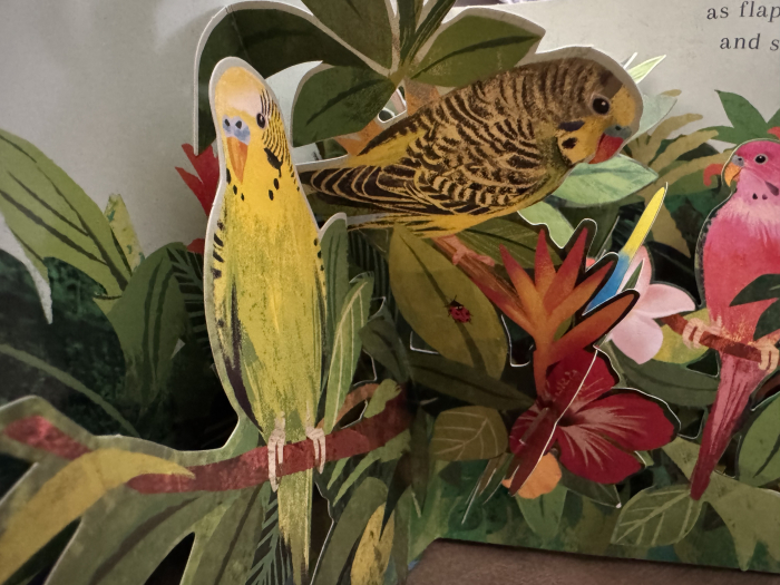 Carte interactiva 3D World of Birds de Patricia Hegarty si Xuan Le Libraria Exploratorilor [3]