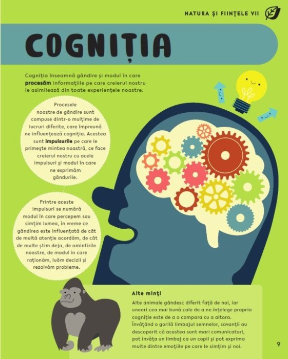 Enciclopedia STEM. 100 de cuvinte pentru copii [5]