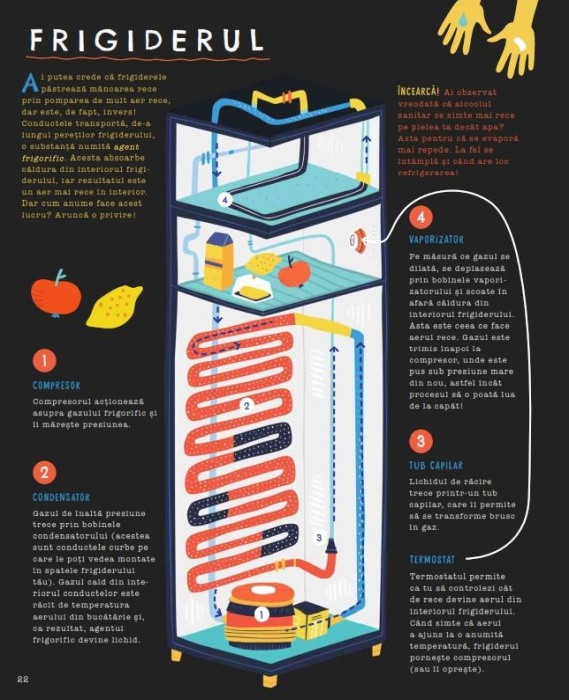 Secrete descifrate [4]