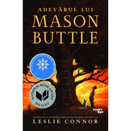 Young adult - Adevarul lui Mason Buttle