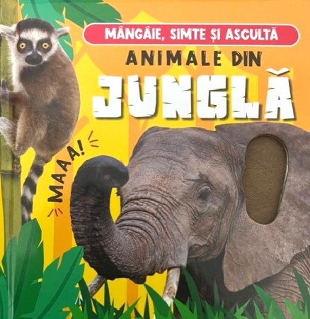 Activitati si jocuri pentru copii - Animale din jungla. Mangaie, simte si asculta