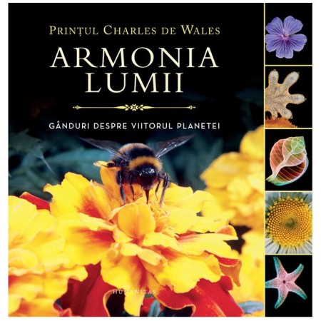 Enciclopedii - Armonia lumii