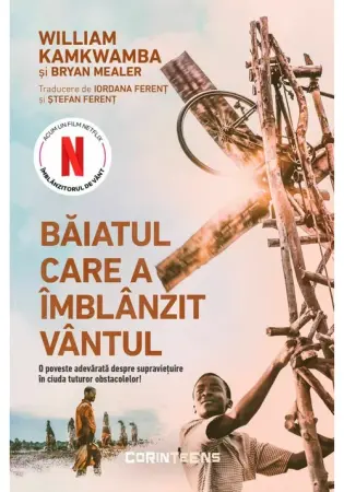 Young adult - Baiatul care a imblanzit vantul