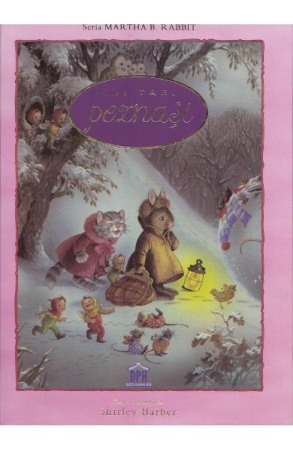 Literatura si fictiune - Cei trei poznasi