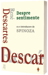 Filosofie - Despre sentimente