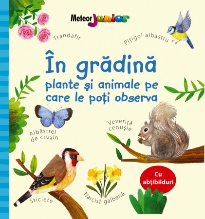 Activitati si jocuri pentru copii - In gradina – plante si animale pe care le poti observa