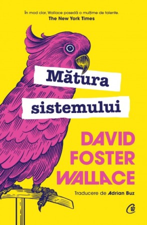 Moderna, contemporana - Matura sistemului