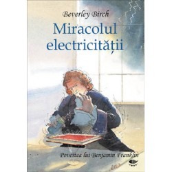 Povesti pentru copii - Miracolul electricitatii