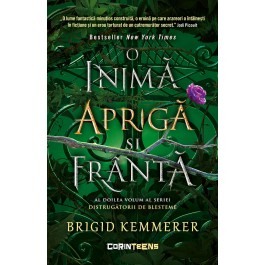 Young adult - O inima apriga si franta