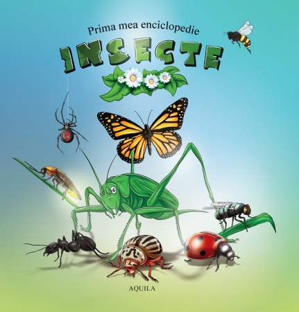 Carti pentru copii - Prima mea enciclopedie: Insecte