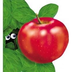 Povesti pentru copii - Primii pasi Marul