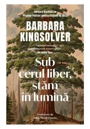 Moderna, contemporana - Sub cerul liber, stam in lumina