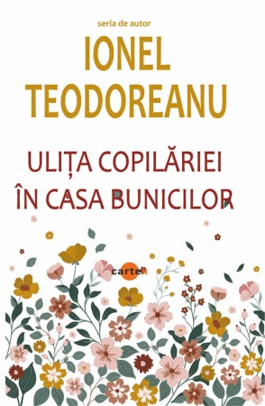 CARTI - Ulita copilariei. In casa bunicilor