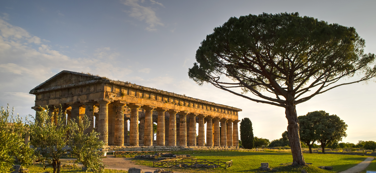 3. Importanta istoriei în zilele noastre 