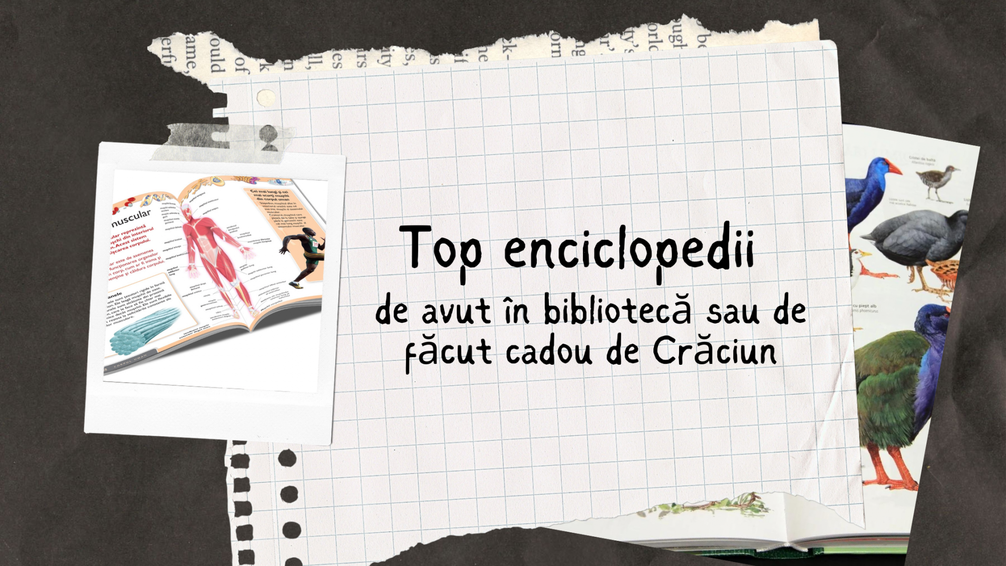 Top enciclopedii de avut în bibliotecă sau de făcut cadou de Crăciun