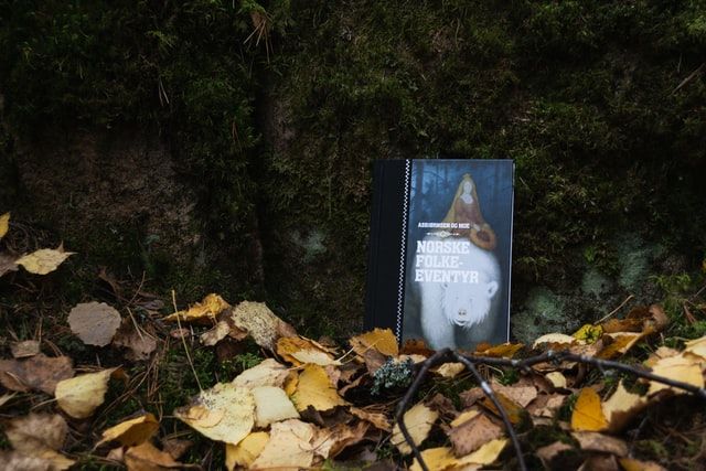 7 cărți pe care să le dăruiți copiilor în această toamnă