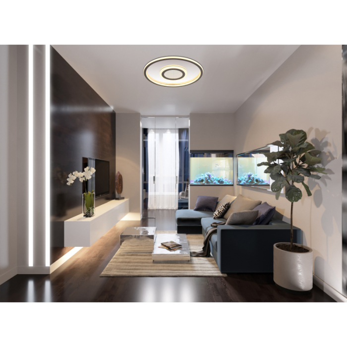 Plafoniera LED Cara, metal gri mat, otel inoxidabil oglindit, 40W, 3000K [2]