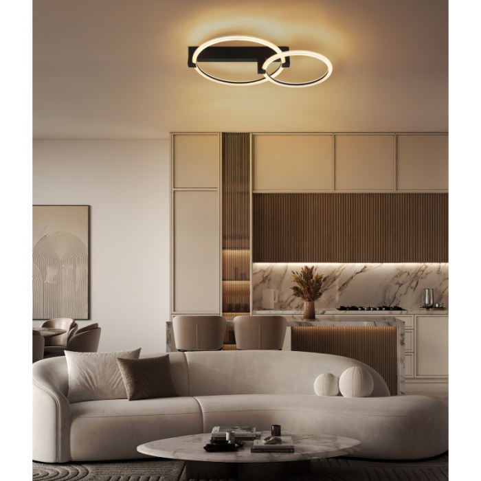 Plafoniera LED Fletcher,  metal negru mat, plastic transparent, alb, 24W 3000K [2]