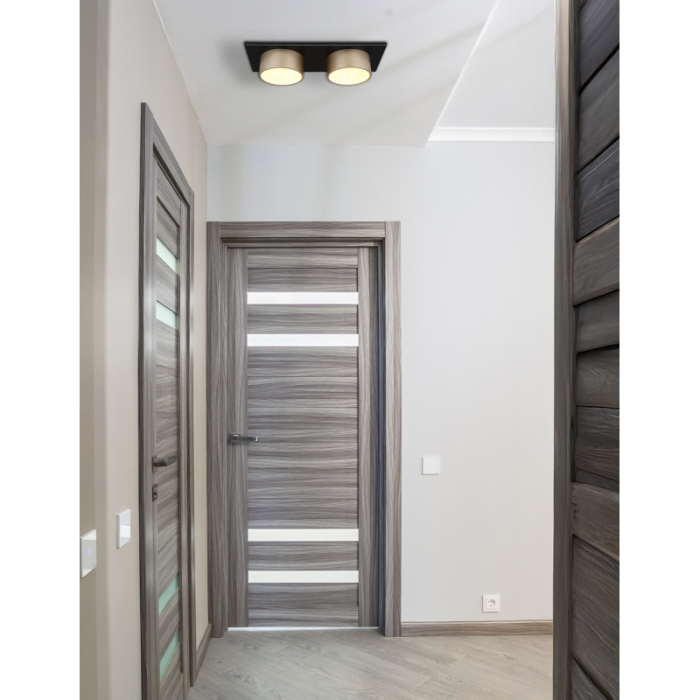 Plafoniera LED Raymond, negru/antracit, 24W, max 1000lm, 3000K [2]