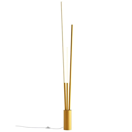 Lampadare - Lampadar LED Herald, auriu mat, 36W 01-3977