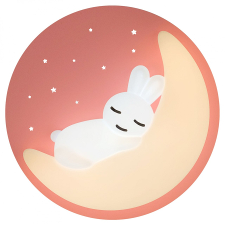 Pentru camera copilului - Plafoniera LED Tender, 40W KL151021