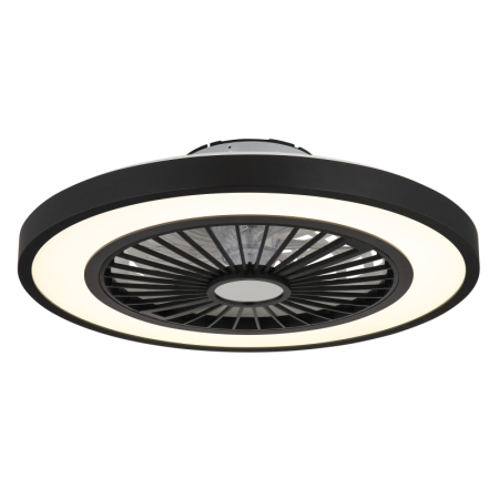 Ventilatoare - Ventilator de tavan LED Blizzak,  metal negru/plastic mat/alb, 45W CCT 3000-6500K