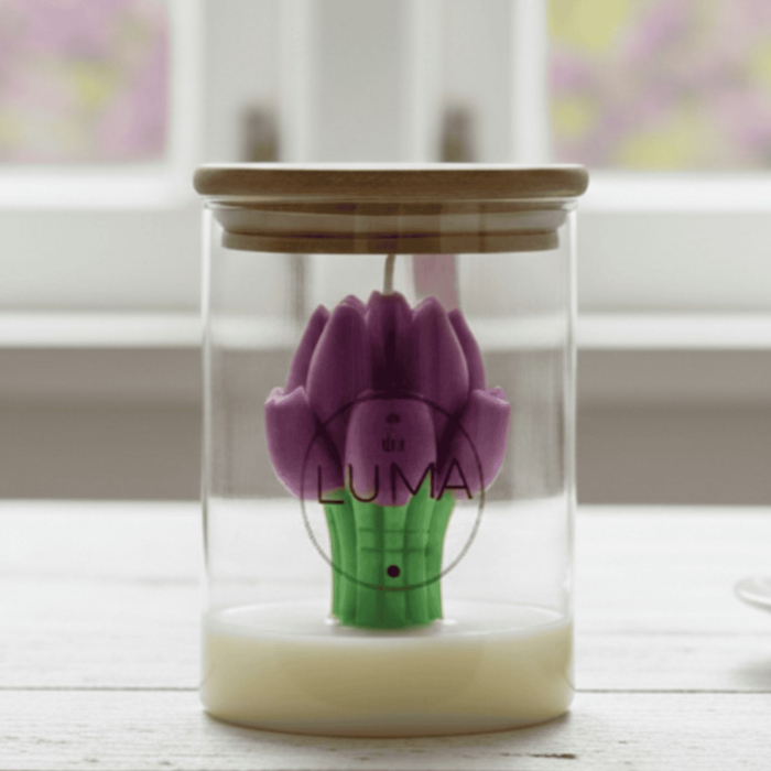 Tulip Dream by Luma [4]