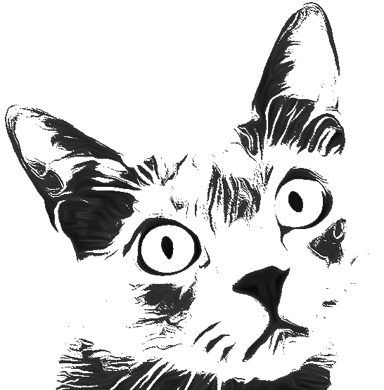 Tocator de lemn personalizat [1]