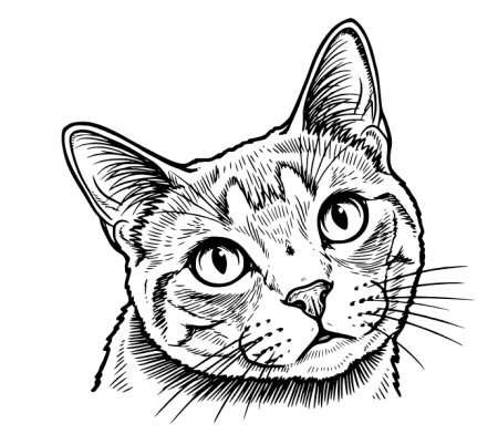 Termosuri personalizate - Coaster personalizat