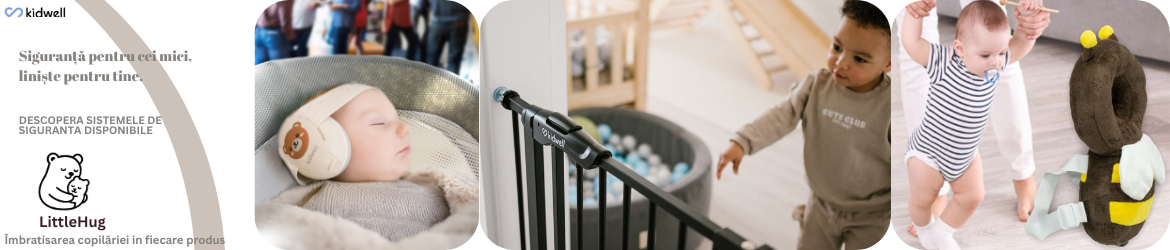 Sisteme de siguranță