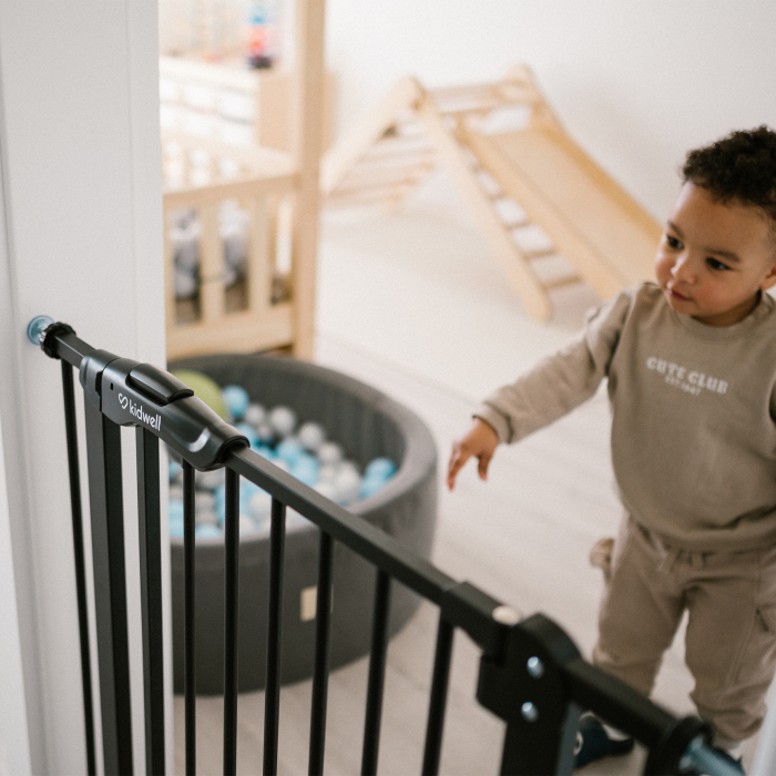 Poartă de siguranță neagră Guarda [14]