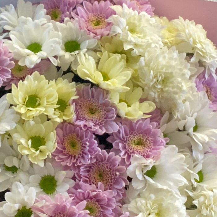 Buchet Alb-Roz din 11 Crizanteme [4]