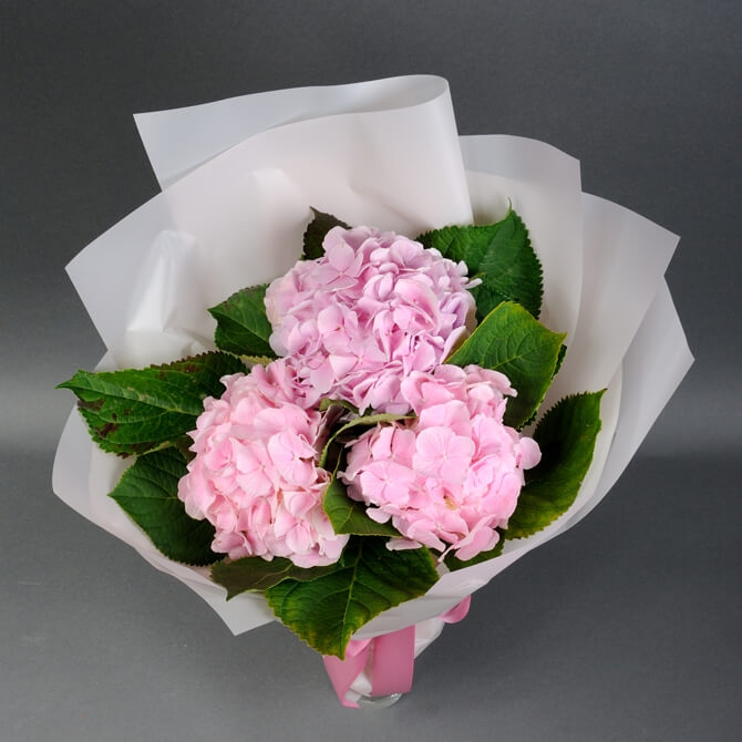 Buchet de 3 hortensii "Roz" [3]