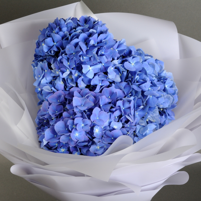 Buchet de hortensii "Indigo" [3]