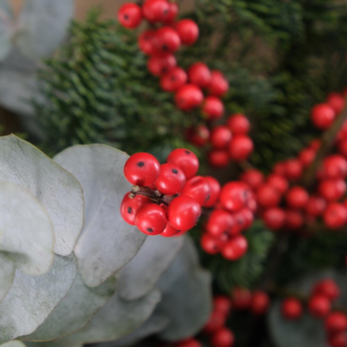 Buchet de Iarnă cu Eucalipt [6]