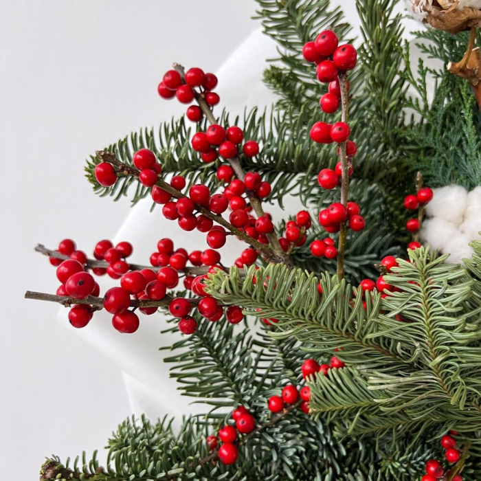 Buchet de Iarnă pentru Crăciun [6]