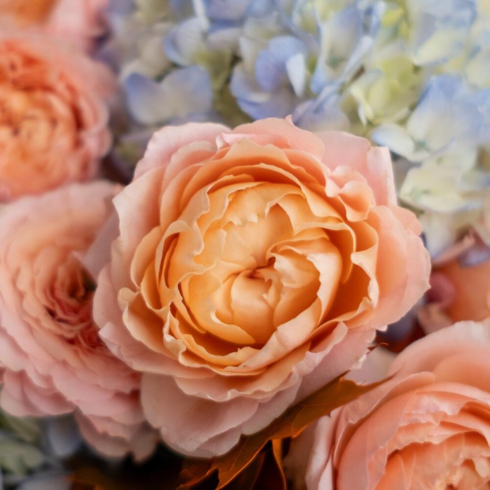 Buchet de Toamnă cu Hortensie, Trandafiri și Frunze de Stejar [4]