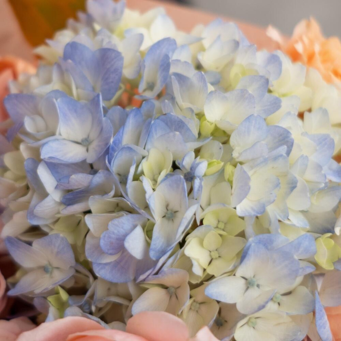 Buchet de Toamnă cu Hortensie, Trandafiri și Frunze de Stejar [5]