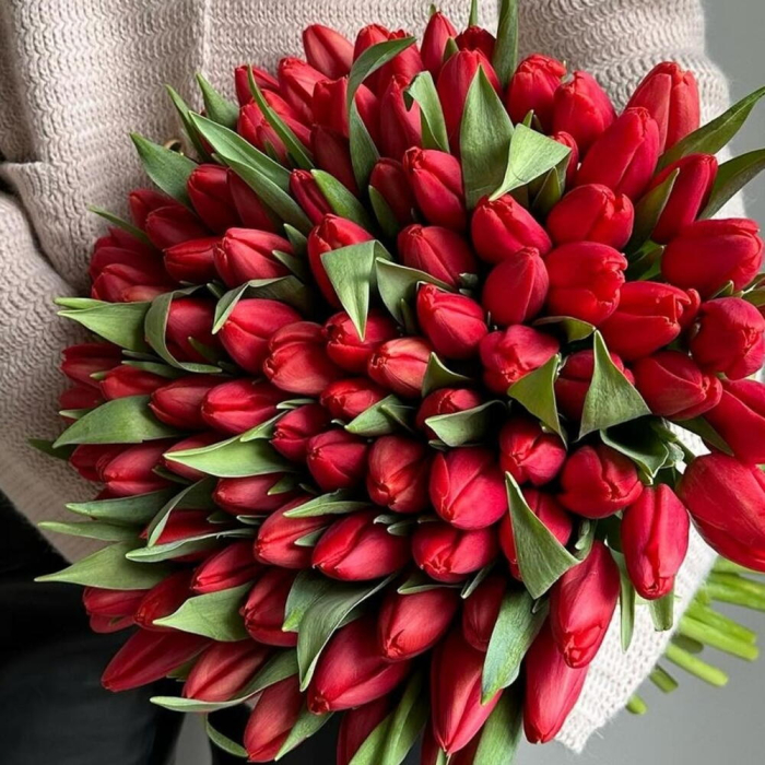 Buchet din 101 Lalele roșii [2]