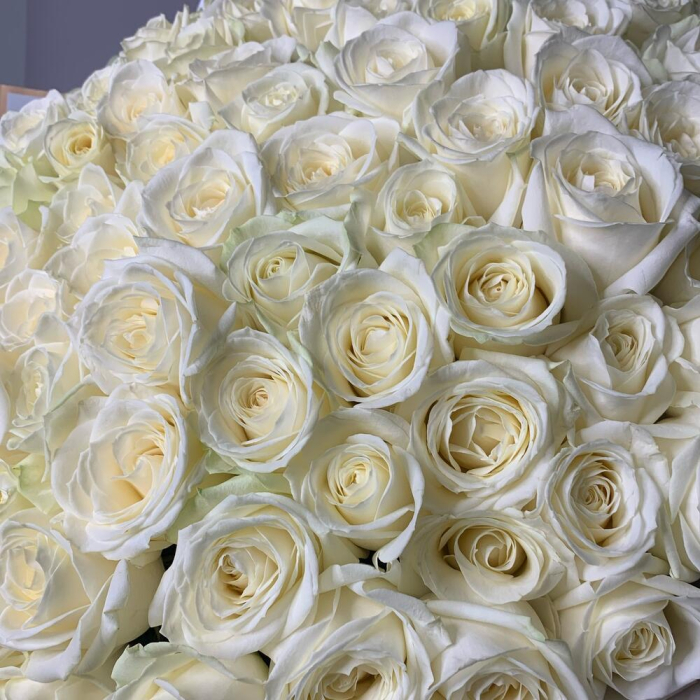 Buchet din 101 Trandafiri Albi [4]