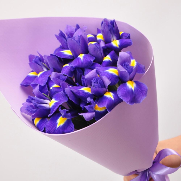 Buchet din 11 Iriși Mov [4]